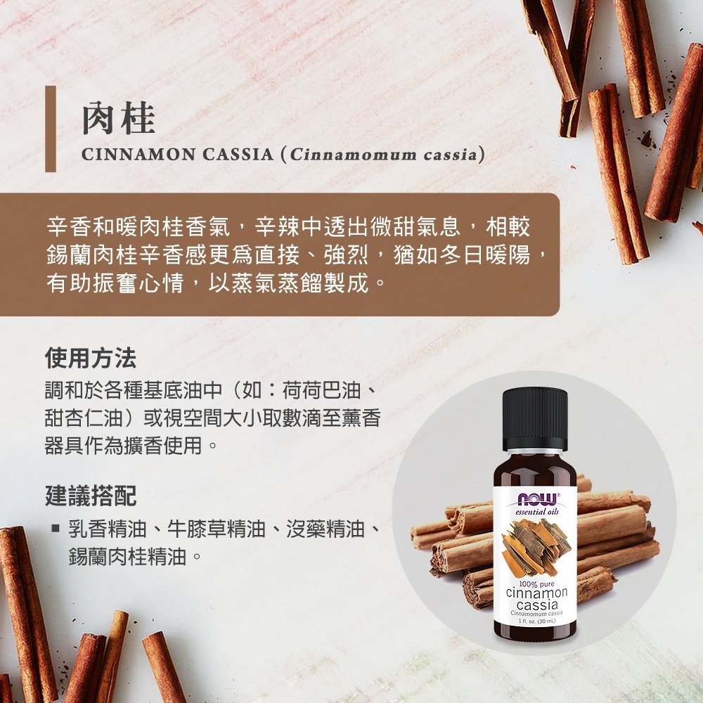 now 肉桂精油 (30mL) Cinnamon Cassia Oil-細節圖2