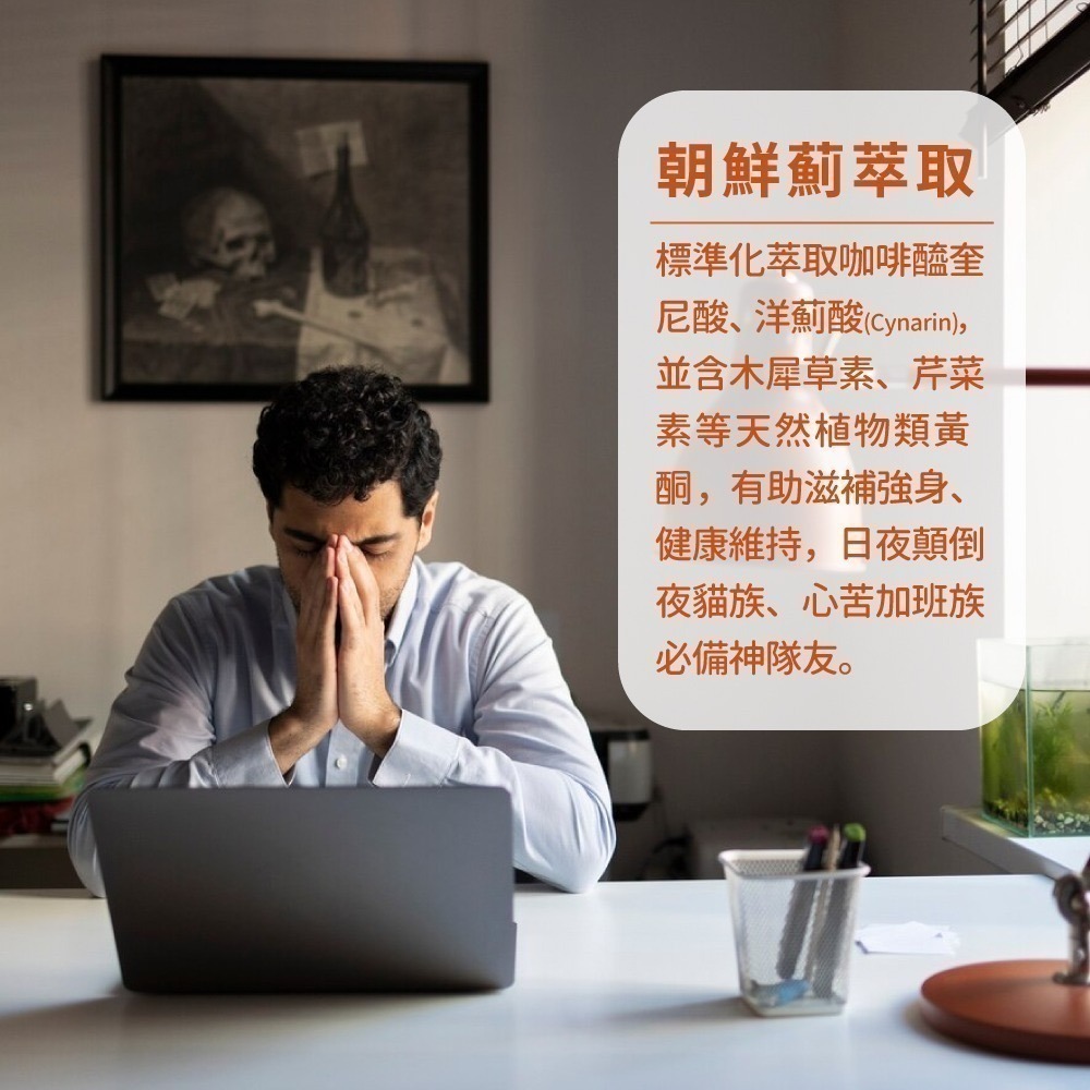 now 朝鮮薊萃取膠囊1瓶(90顆)-細節圖4