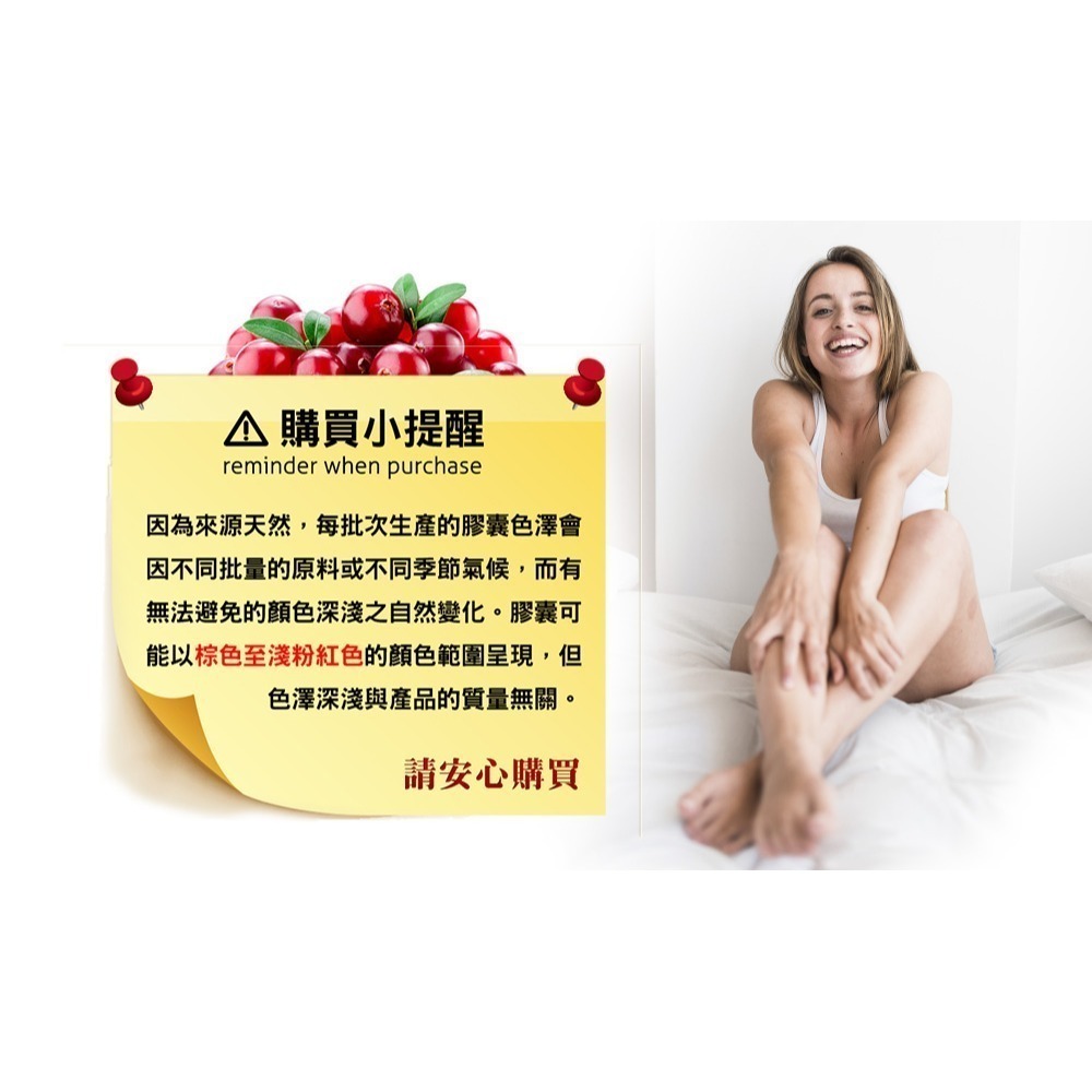 【Bestvite】必賜力高濃縮蔓越莓膠囊1瓶(100顆)-細節圖3