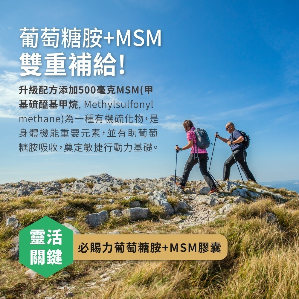 即期品【Bestvite】必賜力葡萄糖胺+MSM膠囊2瓶組(120顆/瓶) 2027/05-細節圖3