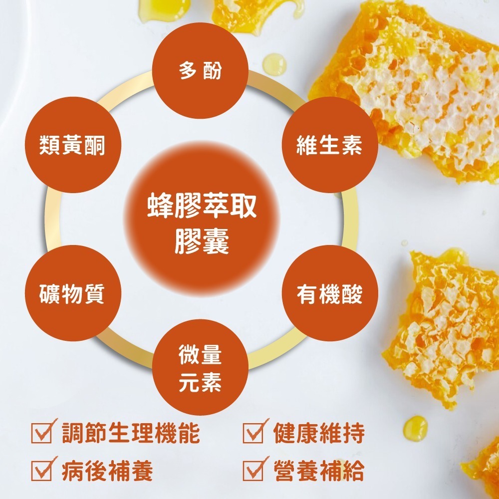 [買1送1] now 蜂膠萃取膠囊1瓶(90顆) 濃縮蜂膠萃取400mg/5:1濃縮/病後補養/調整體質-細節圖5