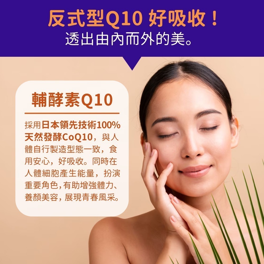 now 輔酵素Q10(輔酶Q10)膠囊3瓶組(60顆/瓶)-細節圖3