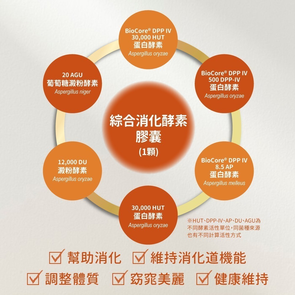 now 綜合消化酵素膠囊1瓶(60顆)-細節圖5