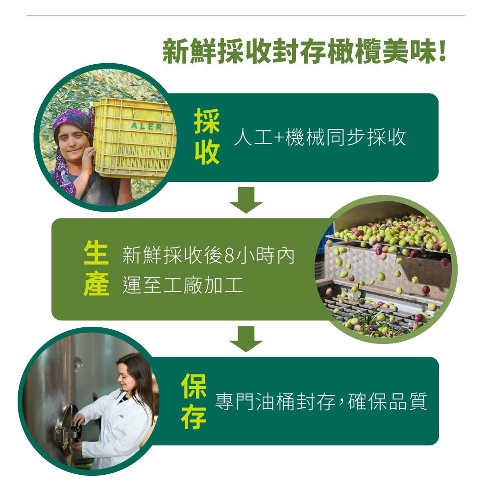 【CERE】希瑞特級初榨橄欖油2瓶組(500毫升/瓶)-細節圖4