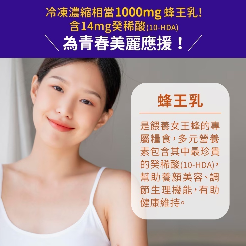 now 蜂王乳濃縮膠囊1瓶(60顆)-細節圖4