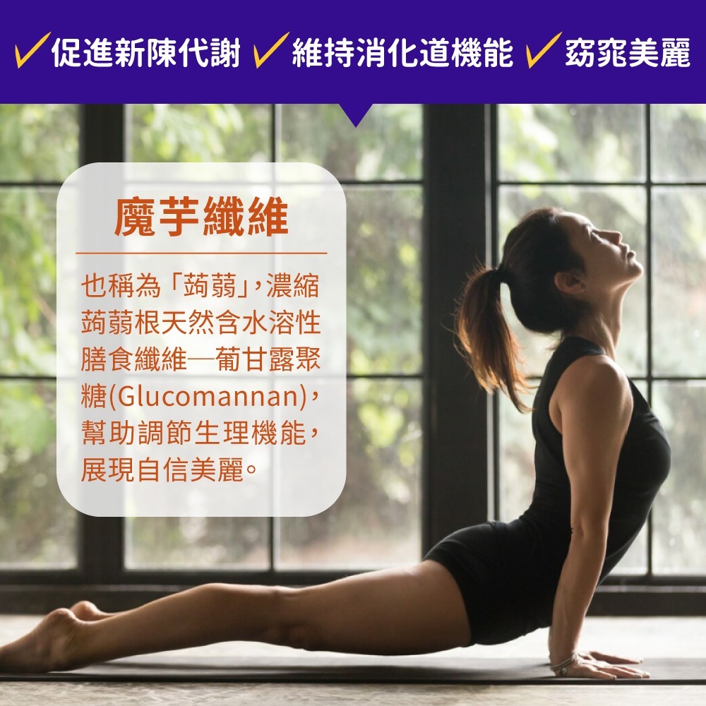 now 魔芋纖維膠囊1瓶(180顆)-細節圖4