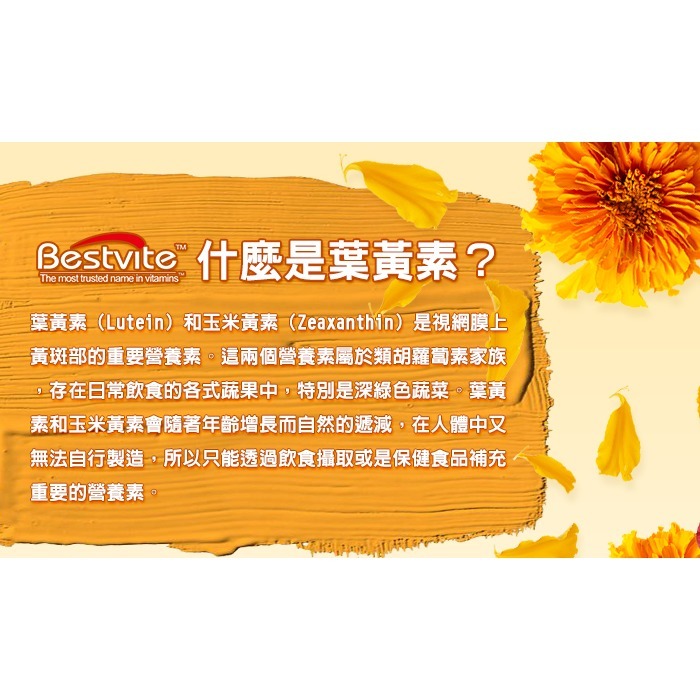 【Bestvite】必賜力專利型葉黃素膠囊2瓶組(90顆/瓶) [FloraGLO專利葉黃素]-細節圖3