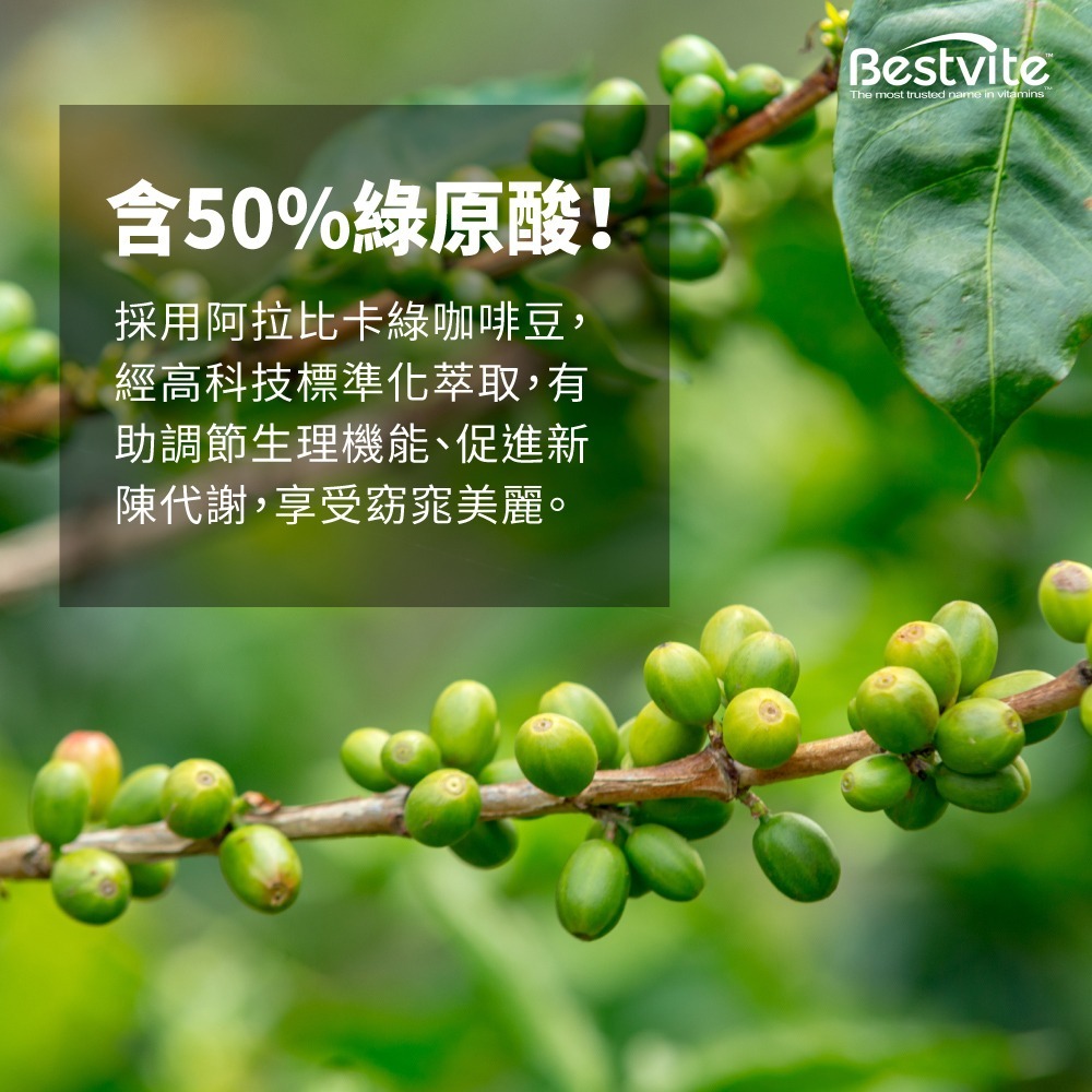 【Bestvite】必賜力綠咖啡精華膠囊4瓶組(60顆/瓶)-細節圖5