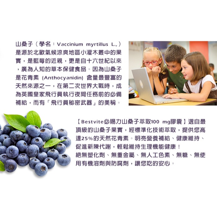 【Bestvite】必賜力山桑子萃取膠囊4瓶組(60顆/瓶)-細節圖4
