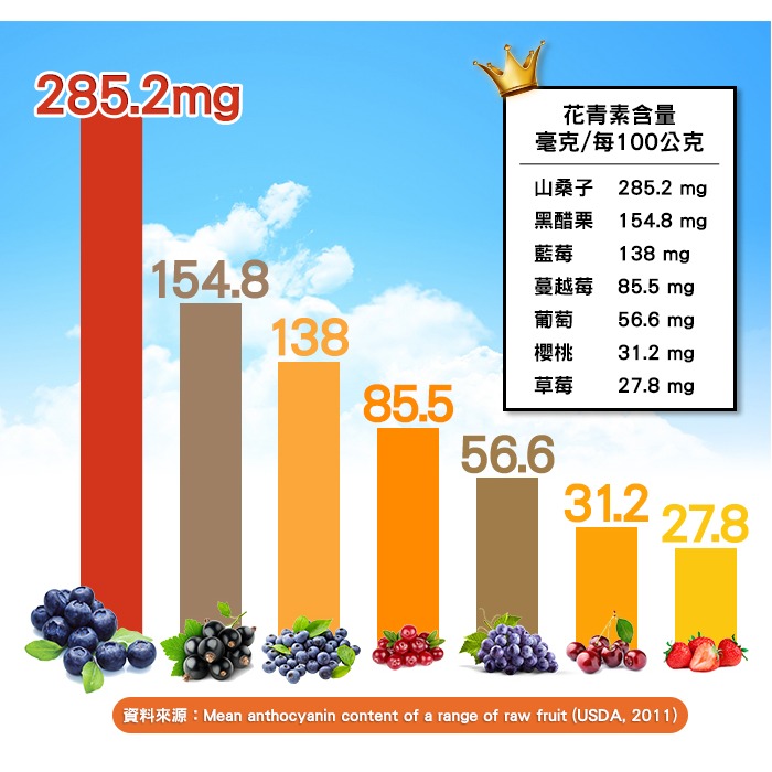 【Bestvite】必賜力山桑子萃取膠囊4瓶組(60顆/瓶)-細節圖5