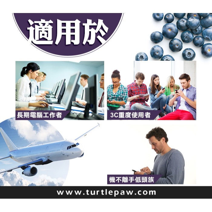 【Bestvite】必賜力山桑子萃取膠囊4瓶組(60顆/瓶)-細節圖7