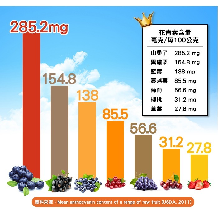 即期品【Bestvite】必賜力山桑子萃取膠囊4瓶組(60顆/瓶) 2027/05-細節圖5