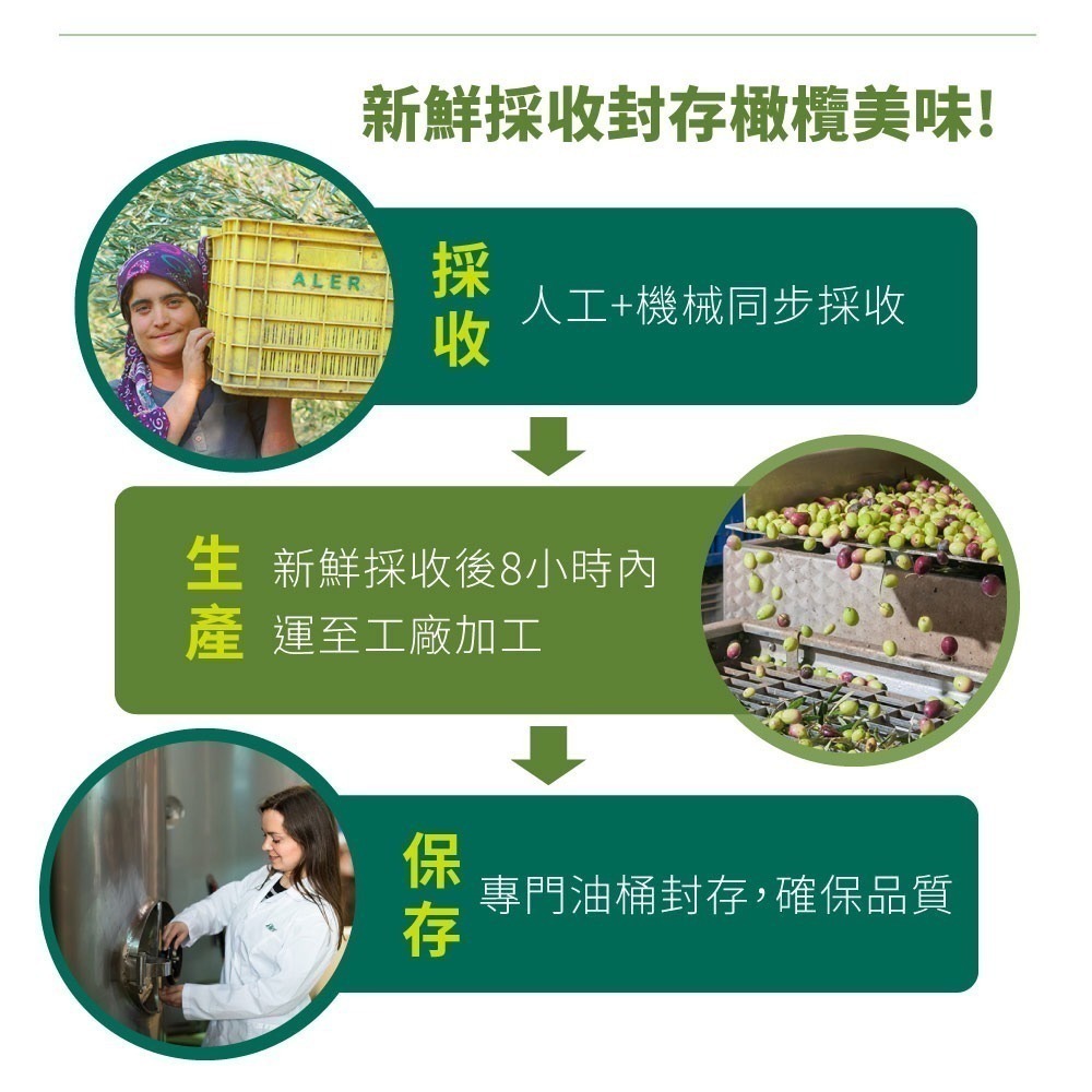 【CERE】希瑞特級初榨橄欖油1瓶(500毫升) 第一道初榨/原瓶原裝進口-細節圖4