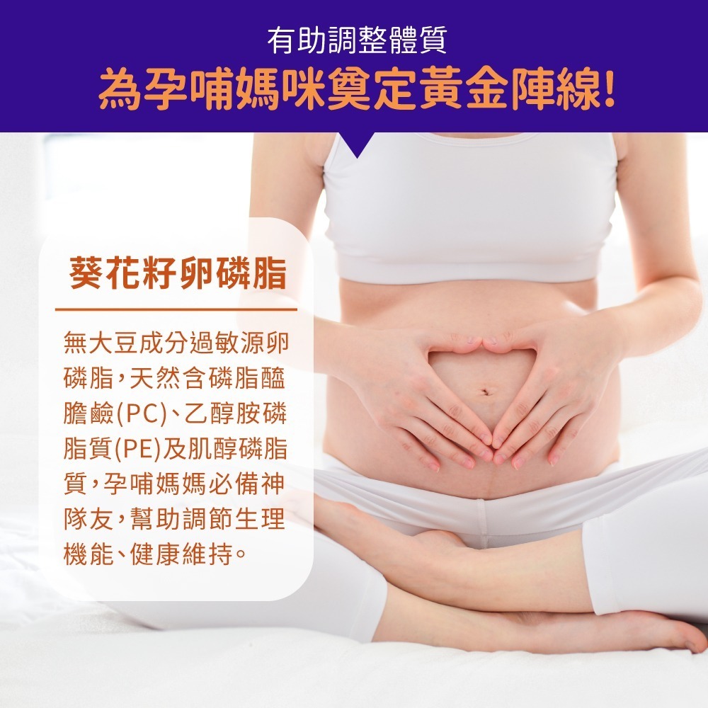 now 葵花籽卵磷脂膠囊2瓶組(100顆/瓶)-細節圖4