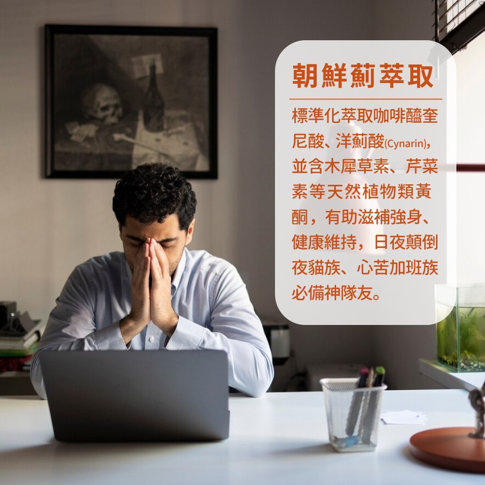 now 朝鮮薊萃取膠囊2瓶組(90顆/瓶)-細節圖4