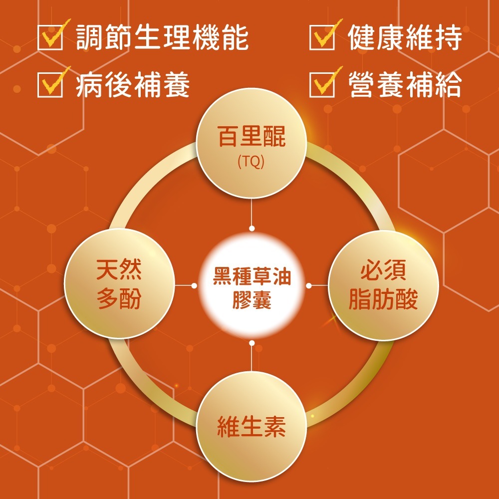 now 黑種草油膠囊組2瓶組(60顆/瓶)-細節圖10