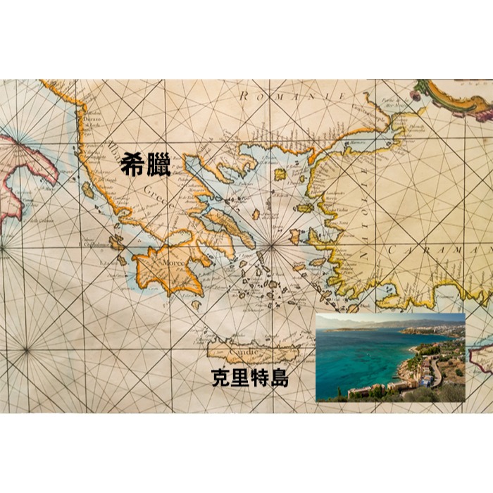 【Oleum Crete】奧莉恩頂級初榨橄欖油6瓶組(250毫升/瓶)-細節圖3