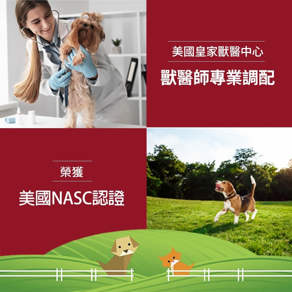 now 寵物OMEGA-3迷你魚油膠囊1瓶(150顆)-細節圖4