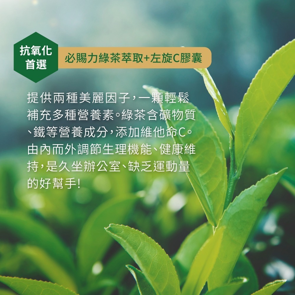 【Bestvite】必賜力綠茶萃取+維生素C膠囊2瓶組(120顆/瓶)-細節圖4
