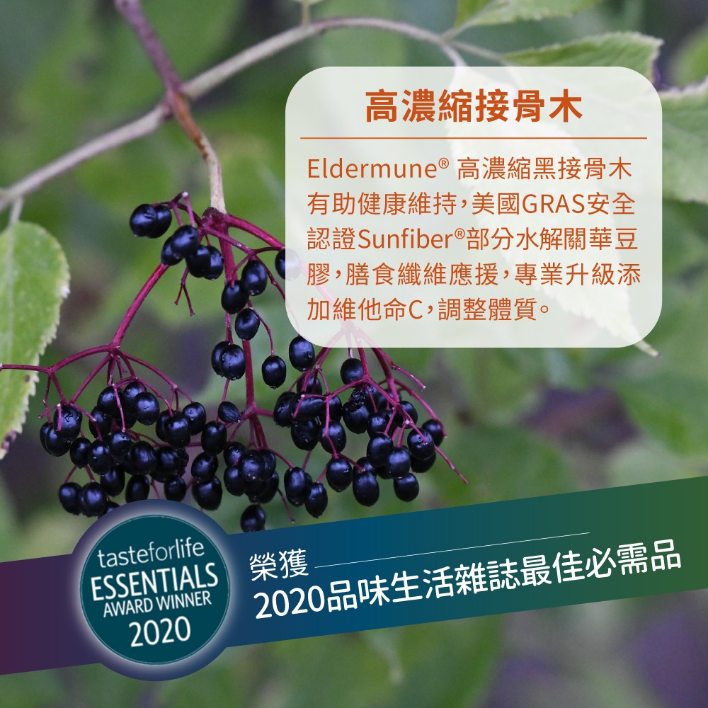 now 高濃縮接骨木+C膠囊1瓶(90顆)-細節圖4