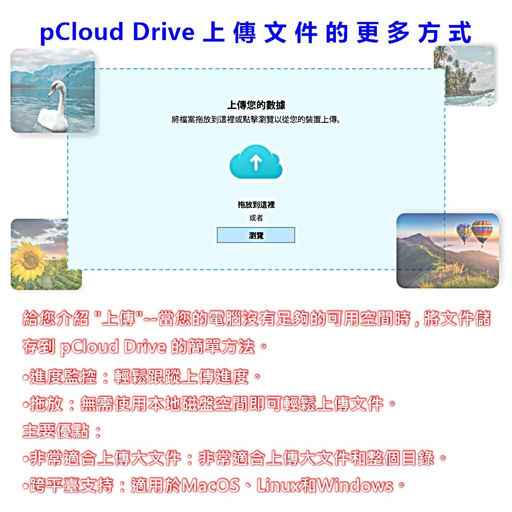 ⚡電世界⚡ pCloud 雲端硬碟 雲端空間 年費方案 終身方案 [1183] 2-細節圖8