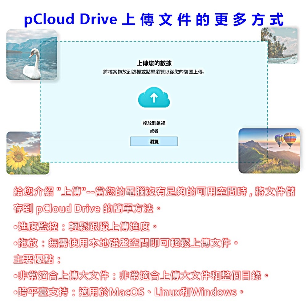 ⚡電世界⚡ pCloud 雲端硬碟 雲端空間 年費方案 終身方案 [1183] 1-細節圖8