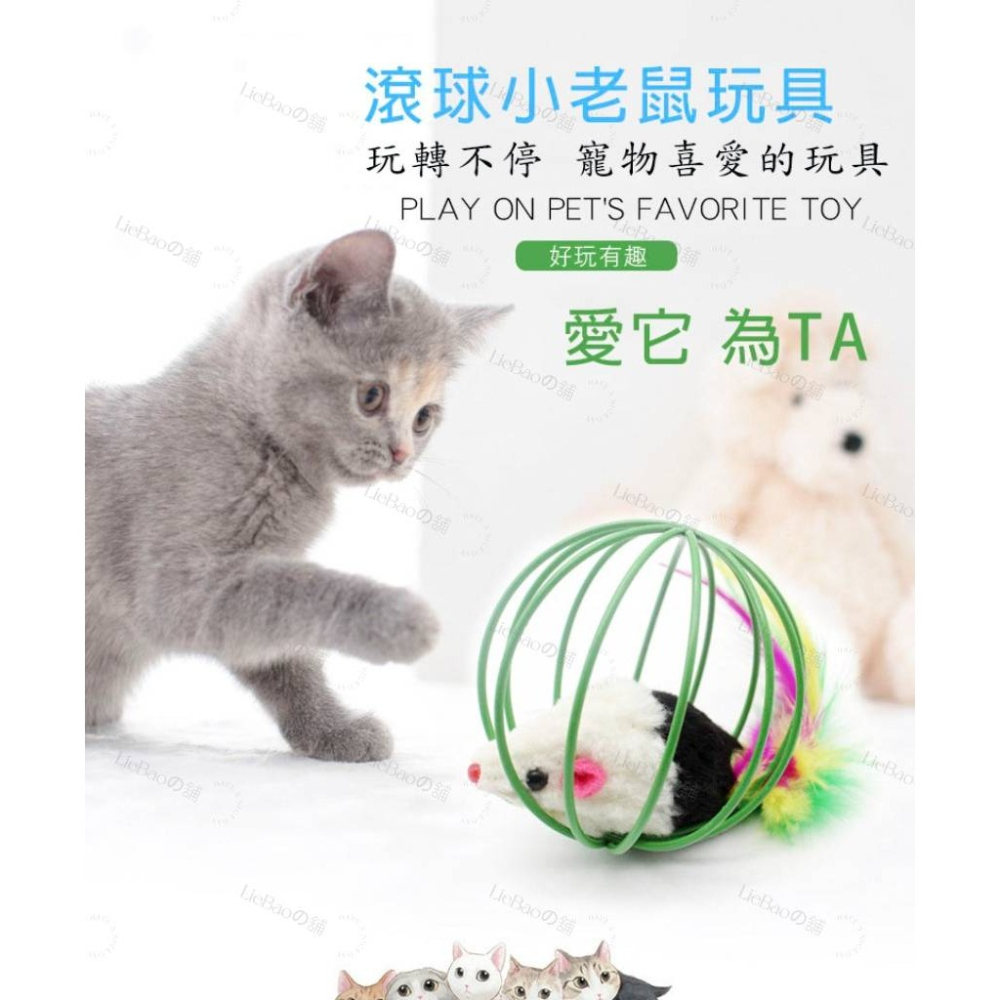 LieBaoの舖🐱貓咪喜歡🐱滾球籠中小老鼠貓咪玩具💕球籠逗貓玩具 逗貓玩具🌸毛絨玩具 貓咪抓球🎉寵物玩具貓玩具-細節圖2