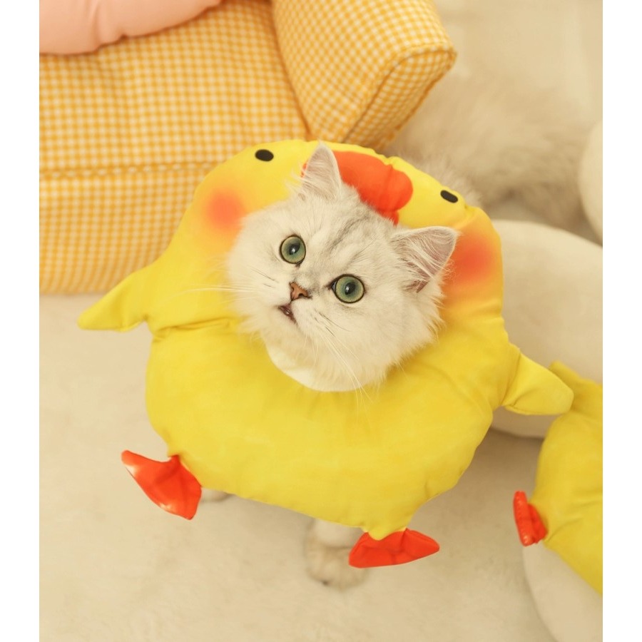 LieBaoの舖🐱寵物用品🐶超萌伊莉莎白犬貓可愛造型頭圈項圈🐱犬貓防舔防抓咬圈💯犬貓術後頭套😻犬貓造型穿搭脖圈-細節圖3