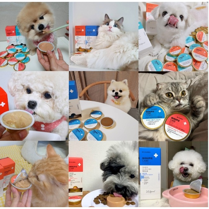 LieBaoの舖🐶犬貓肉泥🐱DR.MAMMA媽媽醫生 護理系列犬貓零食30g🐱韓國 寵物小點心肉泥🐈犬貓零食 -細節圖2