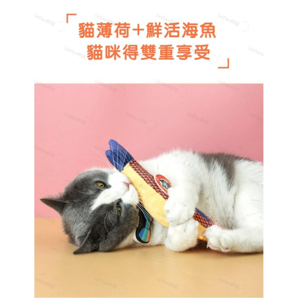 LieBaoの舖🐱貓咪喜歡🐱貓咪薄荷海鮮逗貓玩具❤️貓薄荷 貓咪抱枕 貓薄荷 貓咪玩具💓寵物貓玩具 貓草魚 貓玩具-細節圖4