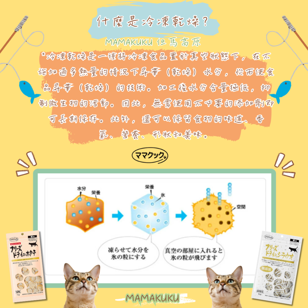 LieBaoの舖🐱貓咪喜歡🐱日本MAMAKUKU但馬高原 冷凍乾燥零食💕扇貝11g 銀魚10g 貓零食 貓凍乾😻-細節圖5