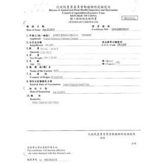 LieBaoの舖🐶狗零食🐶日本Q-PET巧沛 旨粒 大包裝軟肉條 400g 犬零食 🐶軟肉條🍅犬零食🍅犬點心-細節圖4