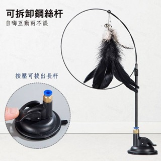 LieBaoの舖🐱貓咪逗貓玩具🐱自嗨吸盤逗貓棒 逗貓神器 貓咪玩具🛒懶人逗貓棒 寵物羽毛逗貓棒🚚貓咪可拆卸逗貓棒-細節圖3