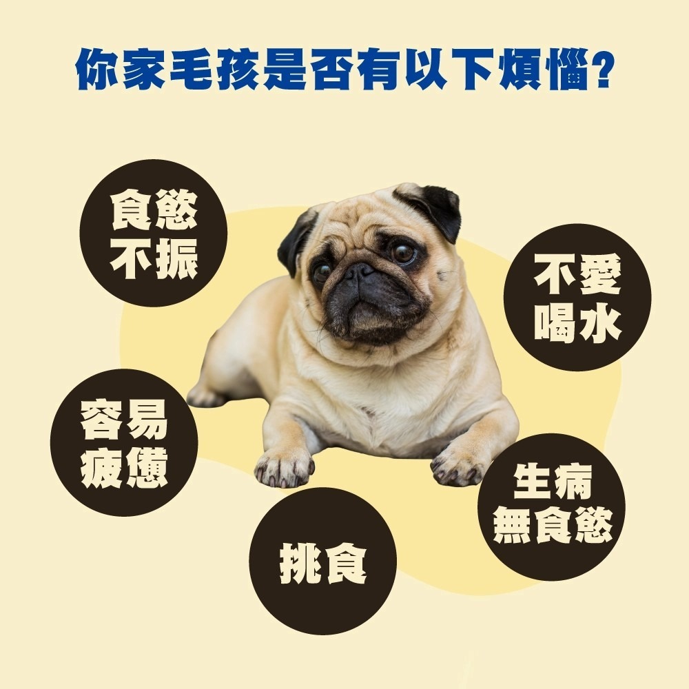 LieBaoの舖🐶營養補給🐶日本 興家安寵📣汪卡路里寵物營養補充飲料(犬用)275ml📣寵物犬營養補充液🎉-細節圖4