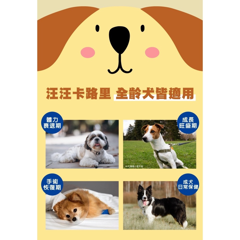 LieBaoの舖🐶營養補給🐶日本 興家安寵📣汪卡路里寵物營養補充飲料(犬用)275ml📣寵物犬營養補充液🎉-細節圖6