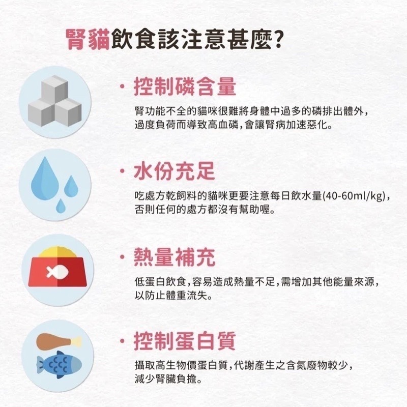 LieBaoの舖🐱腎臟貓🐱日本 BioNature碧然思 營養肉泥 腎貓 狗貓適用 貓咪肉泥零食 犬貓肉泥 犬貓零食-細節圖2