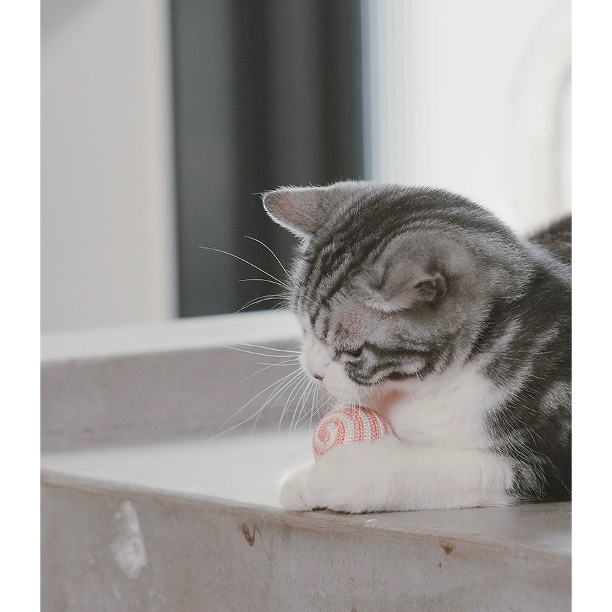 LieBaoの舖🐱貓玩具🐱多格漫 cattyman 貓咪彩色三款毛線球逗貓玩具🎉貓鈴鐺毛球 毛線球🎨逗貓玩具-細節圖7