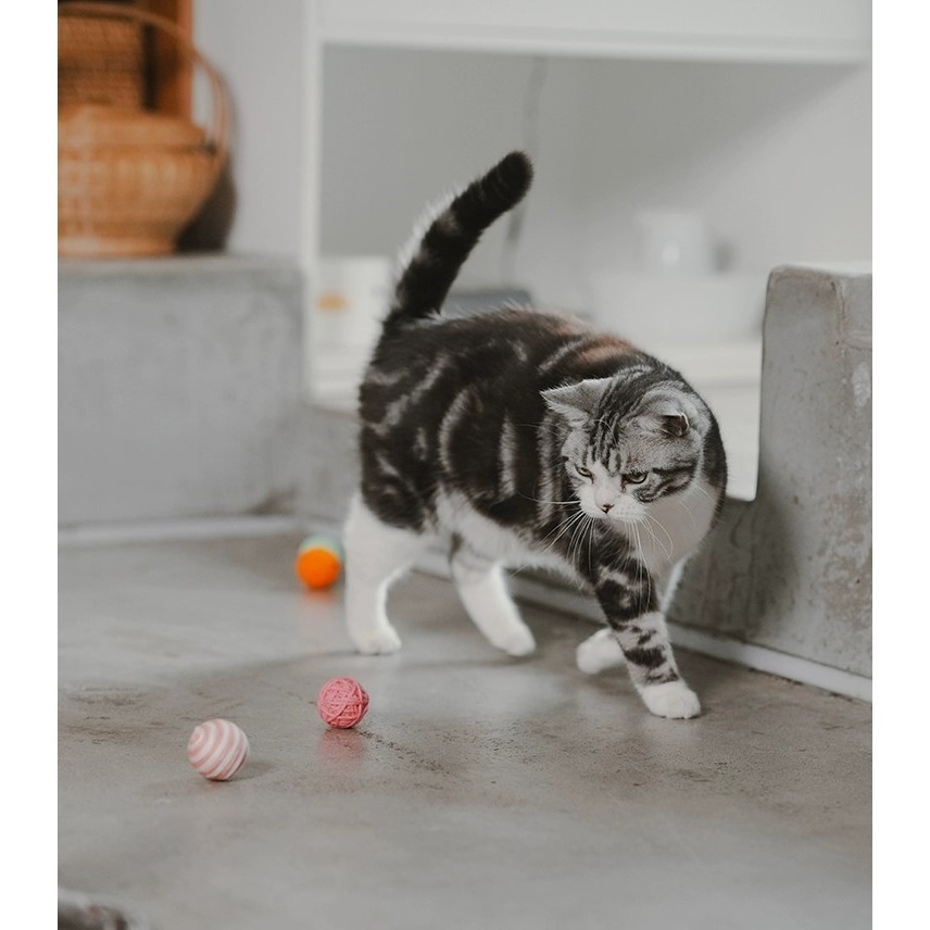 LieBaoの舖🐱貓玩具🐱多格漫 cattyman 貓咪彩色三款毛線球逗貓玩具🎉貓鈴鐺毛球 毛線球🎨逗貓玩具-細節圖9