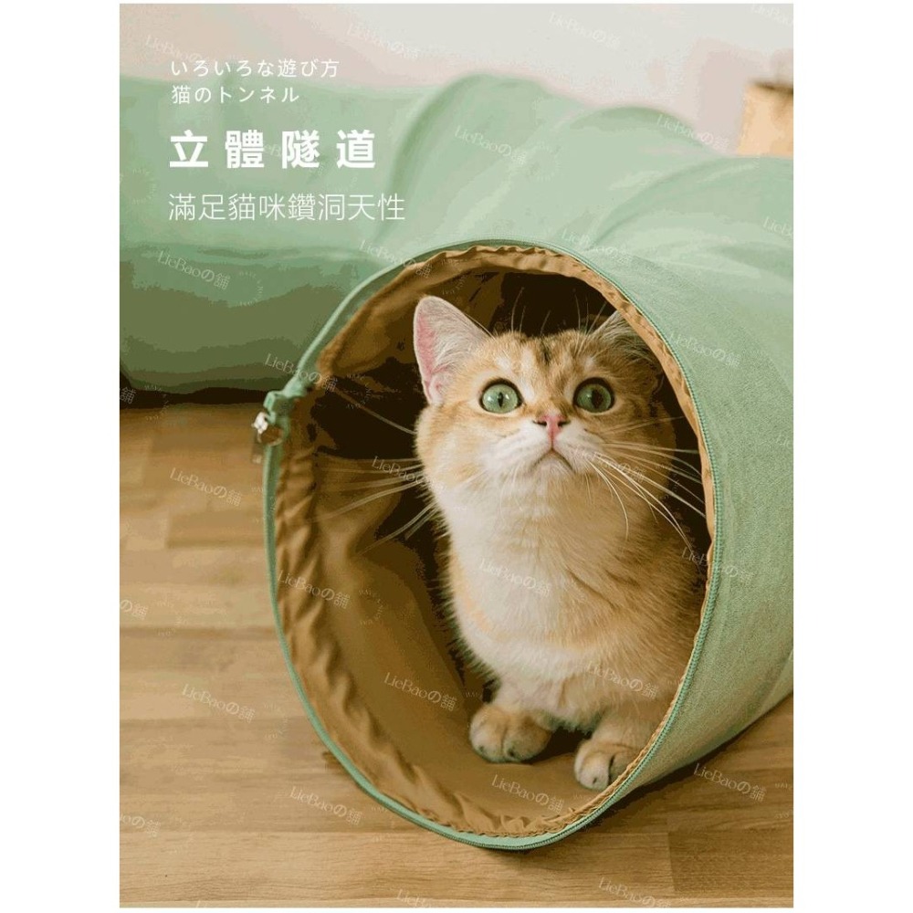 LieBaoの舖🐱寵物玩具🐱日系貓通道可摺疊滾地隧道貓玩具🌻三款顏色🎨多功能貓隧道🎨日式和風貓隧道🎨貓咪隧道-細節圖2