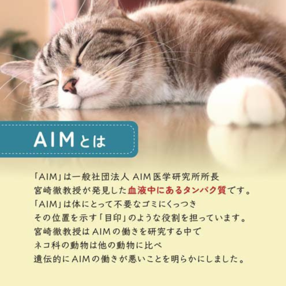 LieBaoの舖🐱貓零食🐱日本SUNRISE綜合精選系列貓餅乾16入*80g🆕️AIM30✨酥脆貓零食✨貓餅乾✨-細節圖3