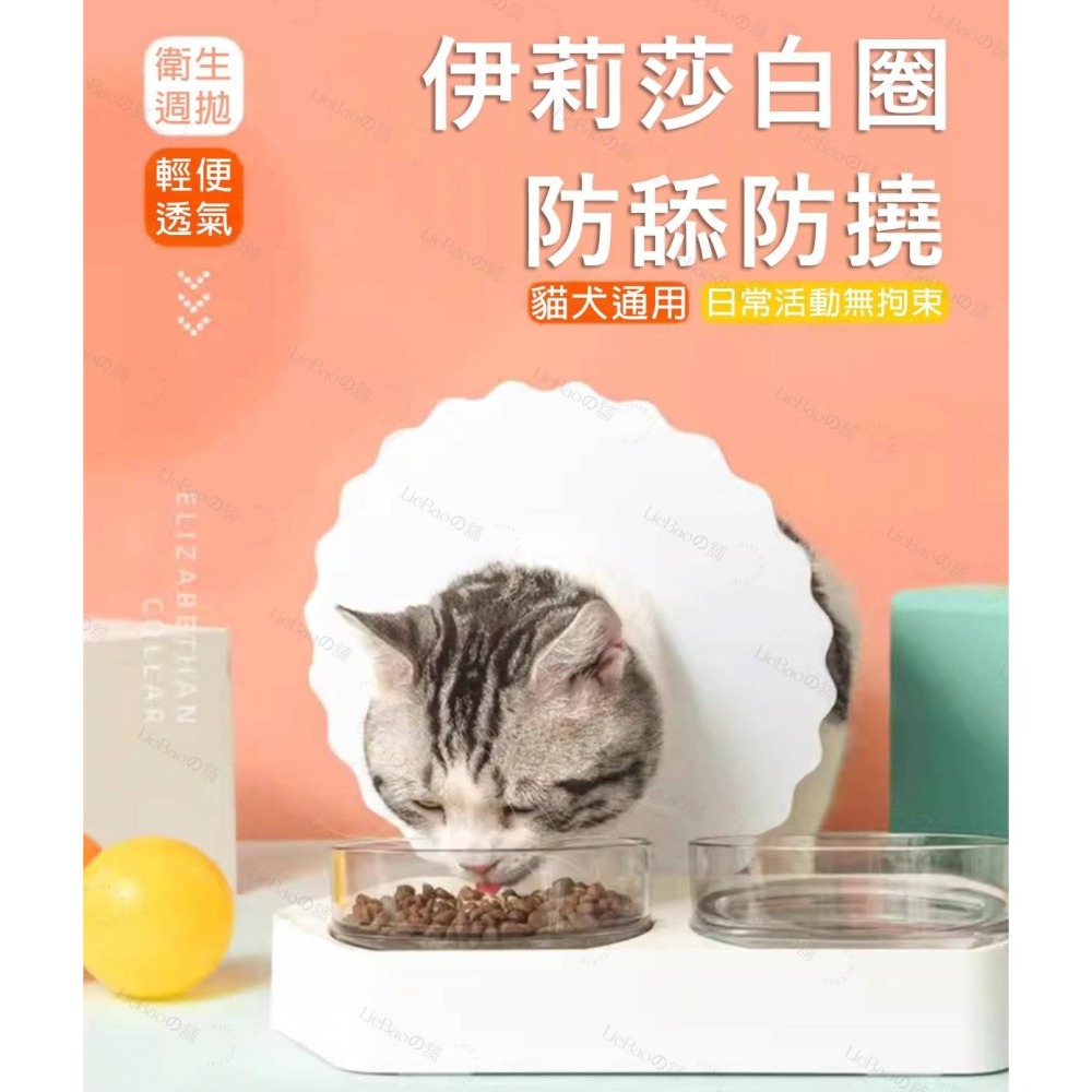 LieBaoの舖🐱寵物用品🐱寵物伊莉莎白防舔防水貓咪脖圍頭圈⭐伊莉莎白⭐升級版⭐2片奘⭐伊莉莎白⭐犬貓 防舔頭套🐱-細節圖3