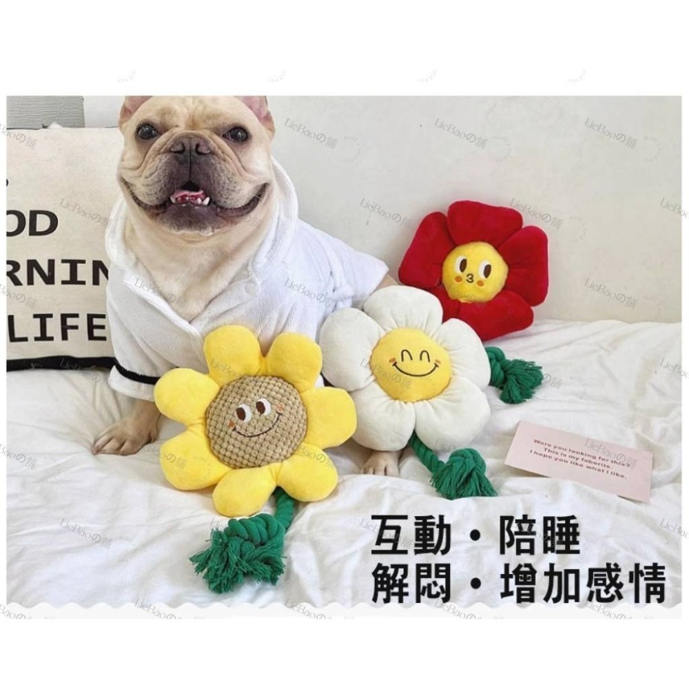 LieBaoの舖🐶寵物玩具🐶笑臉花耐咬磨牙潔齒棉繩發聲狗狗毛絨玩具🎊寵物拔河玩具🍗寵物耐咬玩具🎊狗狗毛絨玩具-細節圖2