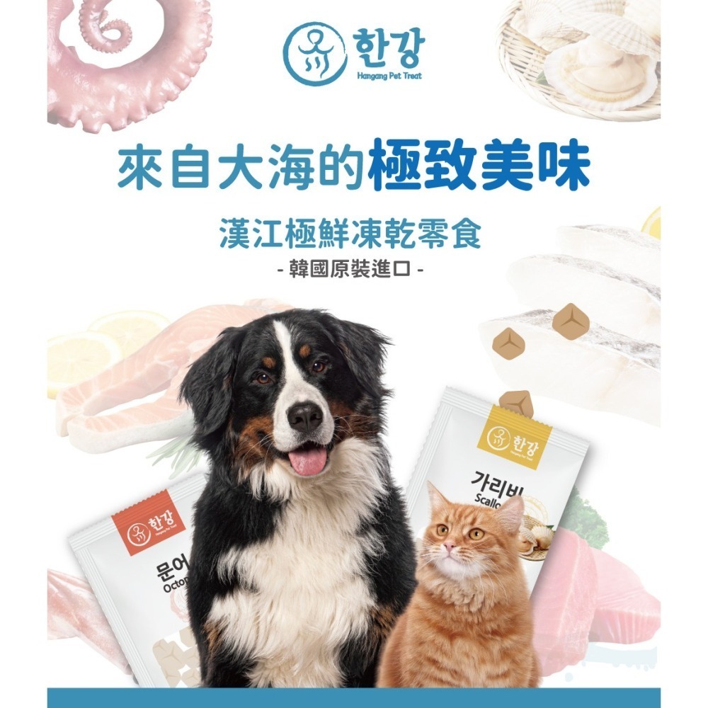 LieBaoの舖🐱犬貓凍乾🐶韓國 漢江極鮮凍乾 犬貓零食150g💕貓零食🐠魷魚🐠鱈魚🐠鮭魚🐠犬貓凍乾💕-細節圖2