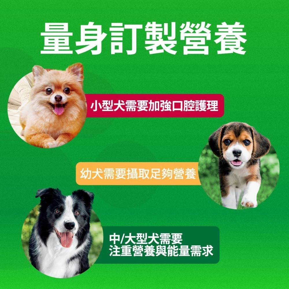 LieBaoの舖🐶全網最低價🐶IAMS愛慕思健康優活綜合營養配方犬飼料1.5kg🎉寵物乾糧🎉營養配方🎉狗飼料-細節圖6