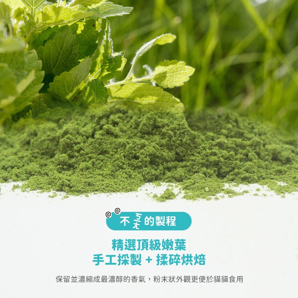 LieBaoの舖🐱貓咪喜歡🐱Feed Me餵我🆕️貓用天然貓草頂級貓薄荷粉系列10g🆕️貓薄荷草✨貓薄荷粉✨貓草-細節圖2