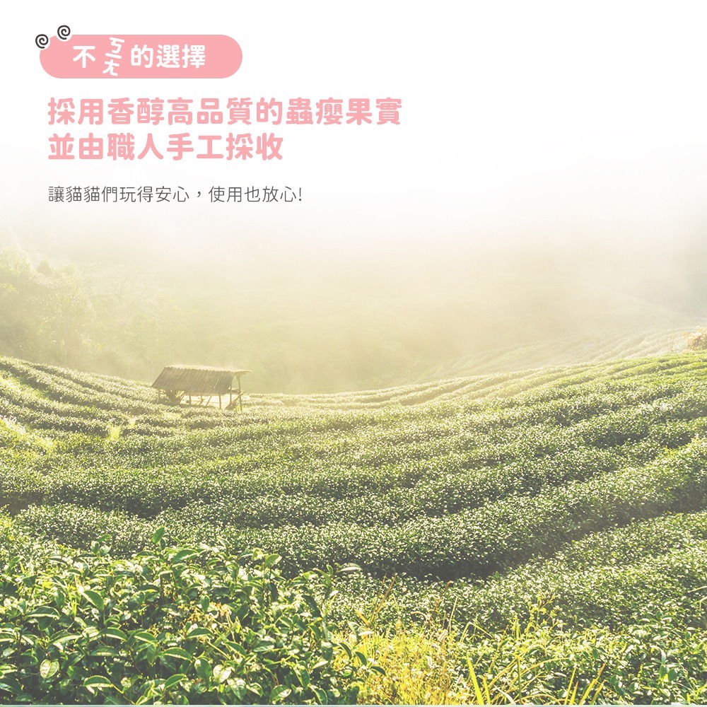 LieBaoの舖🐱貓咪喜歡🐱Feed Me餵我🆕️貓用天然貓草頂級貓薄荷粉系列10g🆕️貓薄荷草✨貓薄荷粉✨貓草-細節圖4