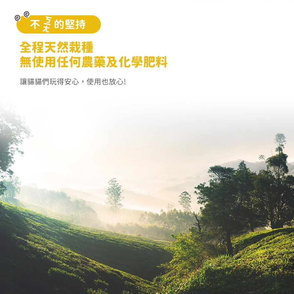 LieBaoの舖🐱貓咪喜歡🐱Feed Me餵我🆕️貓用天然貓草頂級貓薄荷粉系列10g🆕️貓薄荷草✨貓薄荷粉✨貓草-細節圖6