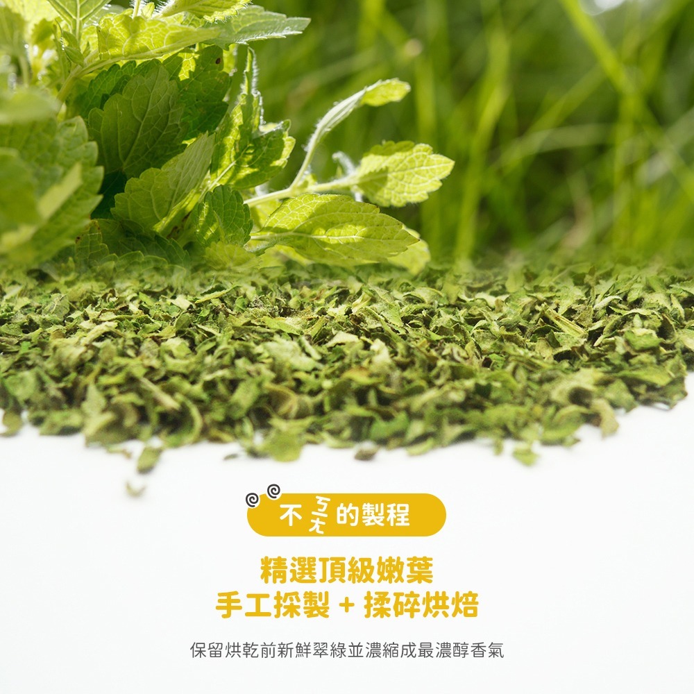 LieBaoの舖🐱貓咪喜歡🐱Feed Me餵我🆕️貓用天然貓草頂級貓薄荷粉系列10g🆕️貓薄荷草✨貓薄荷粉✨貓草-細節圖7
