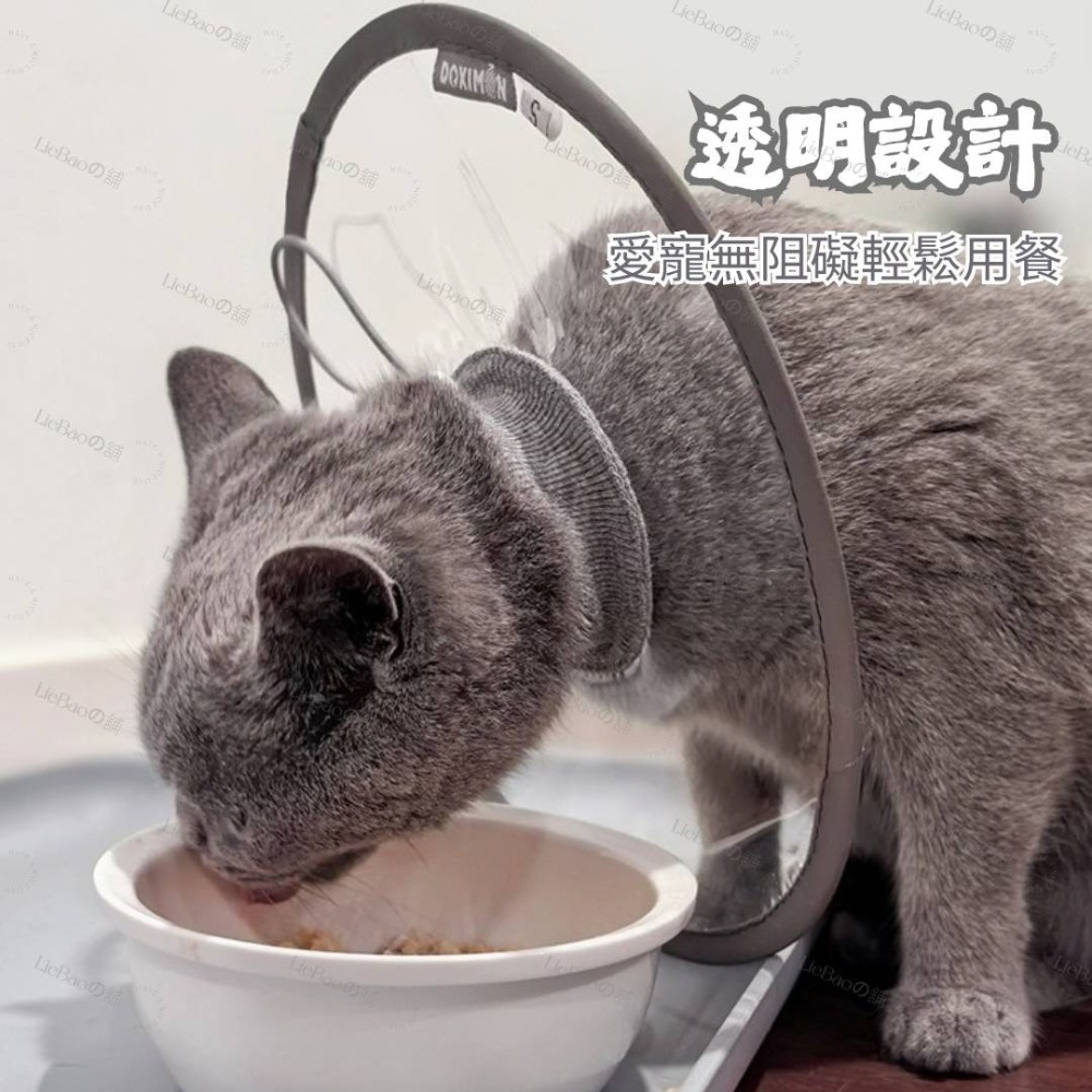 LieBaoの舖🐱台灣現貨🐶寵物透明防水PVC材質伊莉莎白圈🎉防舔防咬保護頭套🪴寵物脖圍🎉寵物防舔防抓🪴寵物-細節圖2