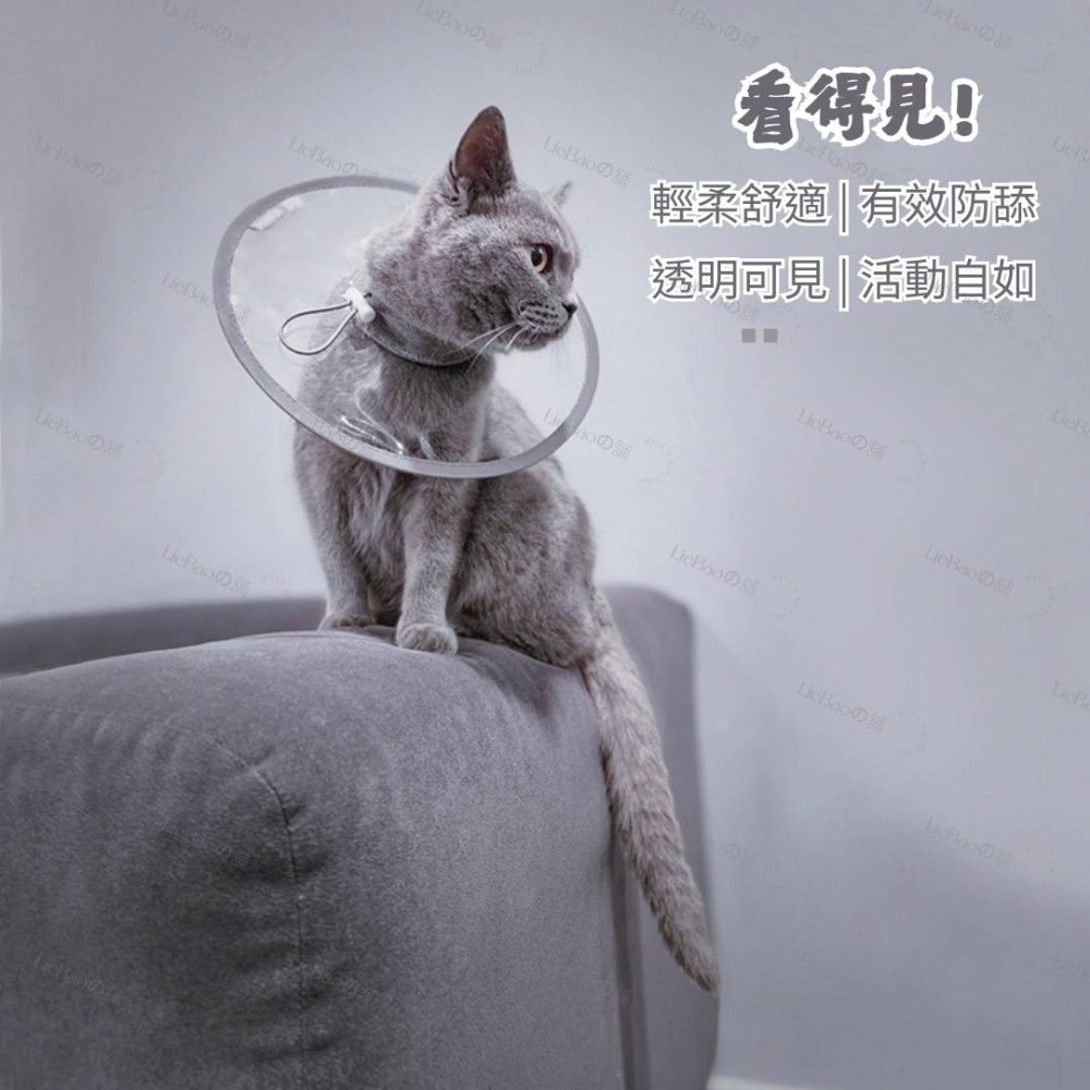 LieBaoの舖🐱台灣現貨🐶寵物透明防水PVC材質伊莉莎白圈🎉防舔防咬保護頭套🪴寵物脖圍🎉寵物防舔防抓🪴寵物-細節圖3